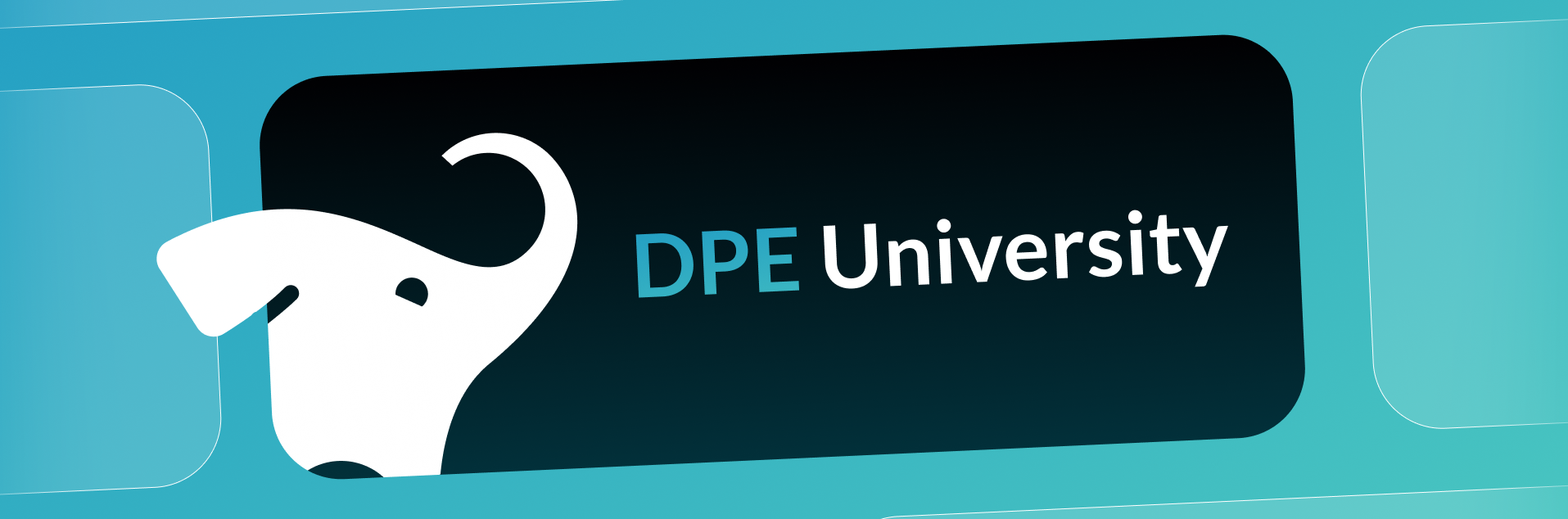 DPE University